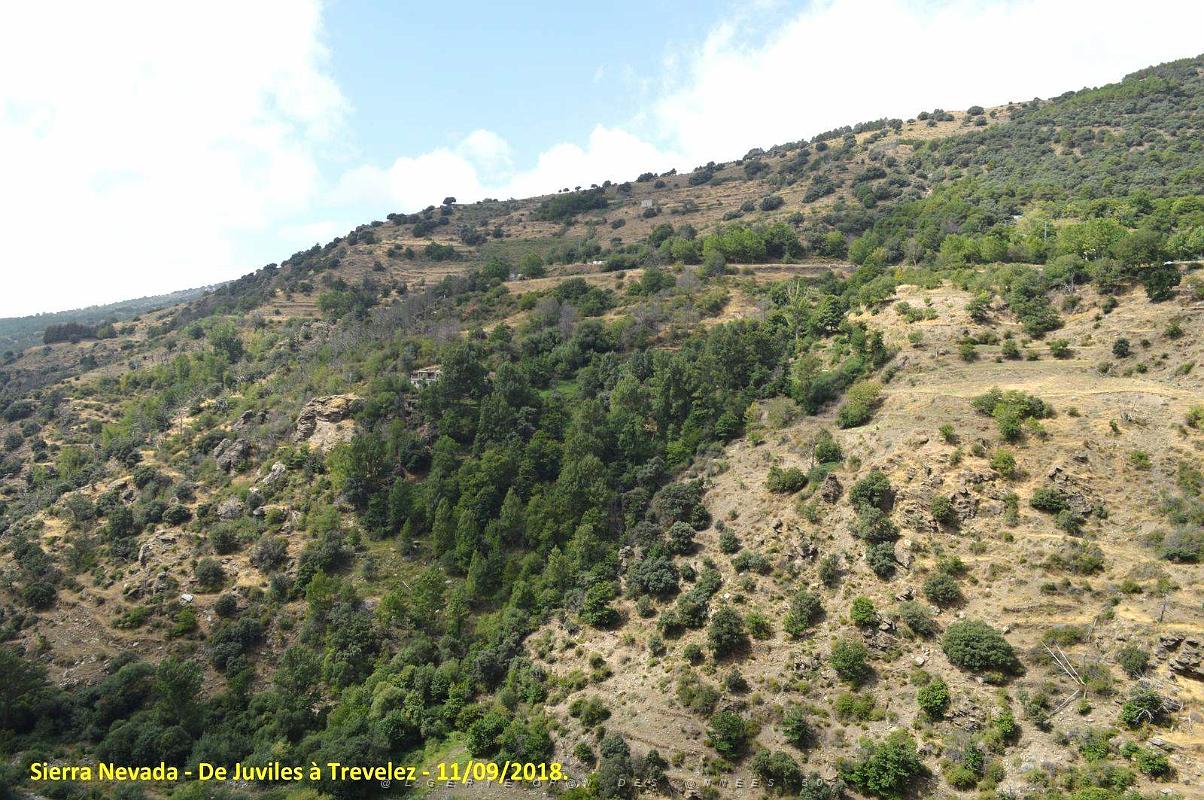 24 SIERRA NEVADA DE UGIJAR A TREVELEZ (106).JPG